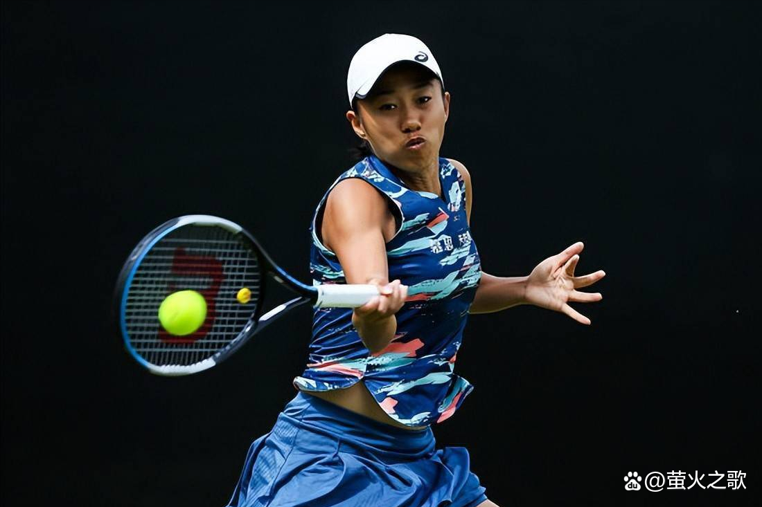 升起到了至 升起到了至