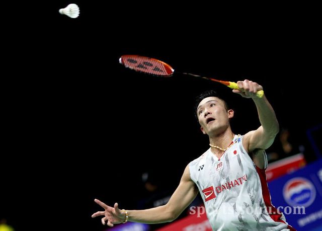 的每一次跳 的每一次跳